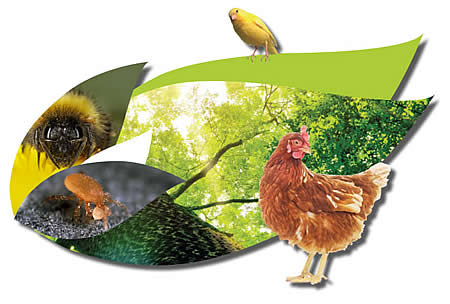 Rote Vogelmilbe, Stallfliegen und Schlangenmilbe biologisch bekämpfen